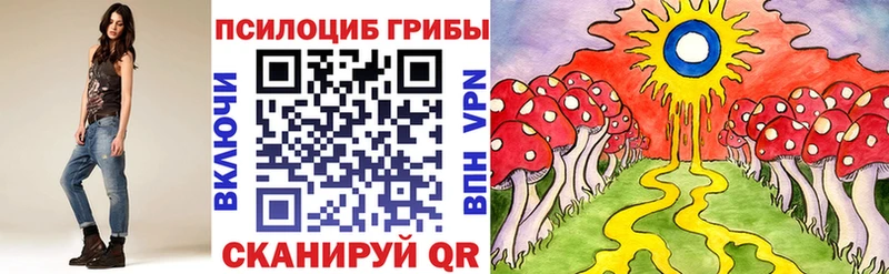наркота Вилюйск Псилоцибиновые грибы Psilocybe